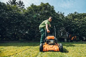 Regelmäßige Rasenpflege im GartenABO Standard