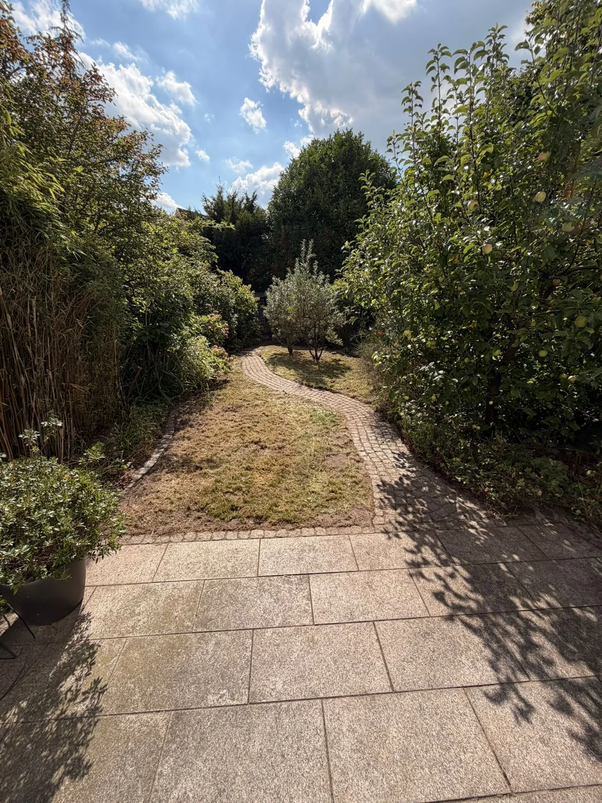 Nach der Gartenpflege: freigelegter Gartenweg und gepflegte Flächen